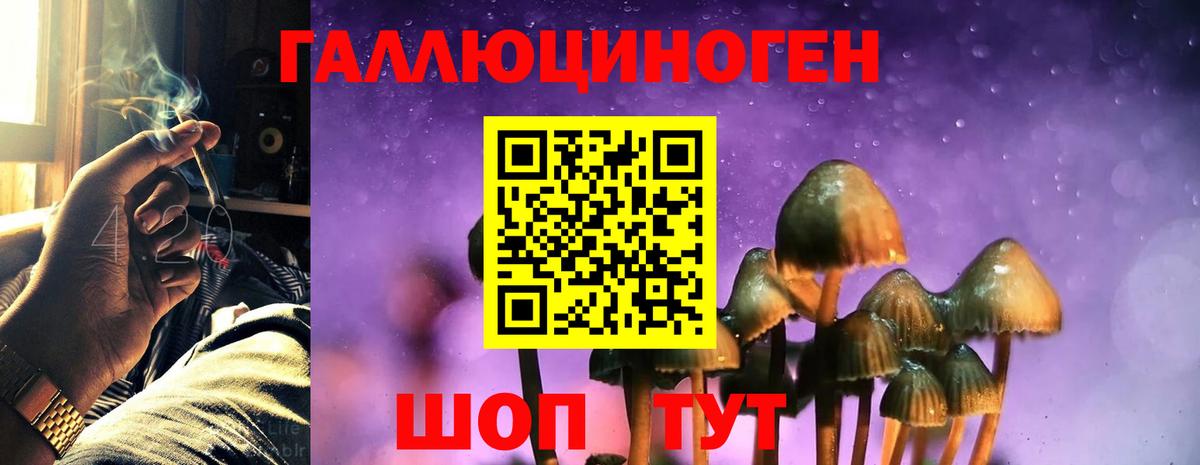 Галлюциногенные грибы мухоморы Спасск-Дальний