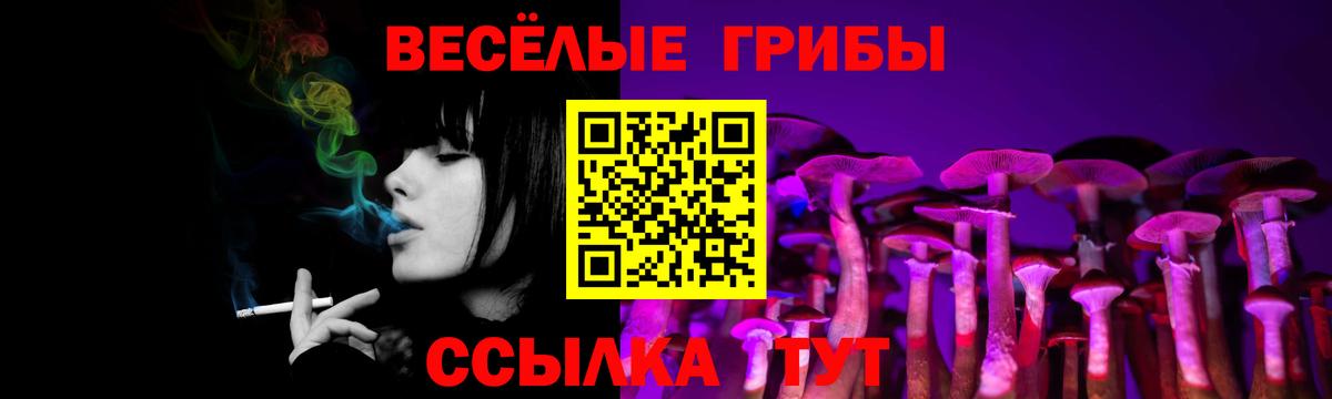 Псилоцибиновые грибы GOLDEN TEACHER  Псилоцибиновые грибы MAGIC MUSHROOMS  Вход с VPN  Спасск-Дальний 